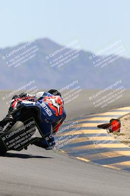 media/May-14-2022-SoCal Trackdays (Sat) [[7b6169074d]]/Turn 12 Backside (1135am)/